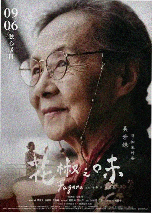 银翼的魔术师 柯南基德剧场版 空中劫机